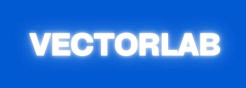 VECTORLAB